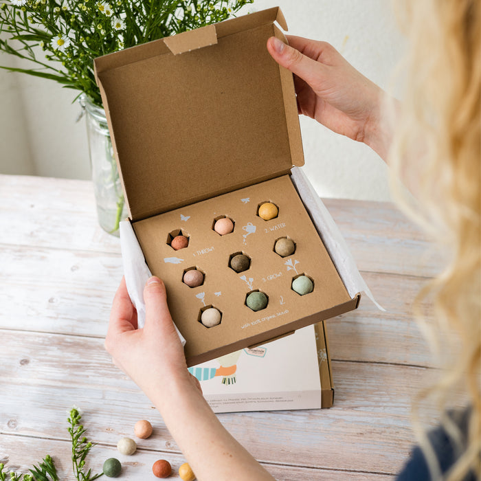 Wildflower Seed Ball Gift Box | 'Flowers For You' (9 Seed Balls)