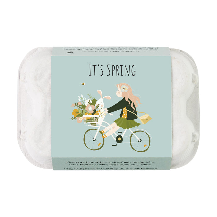 Wildflower Seed Ball Gift Box | 'It's Spring' Mini Egg Carton (6 Seed Balls)