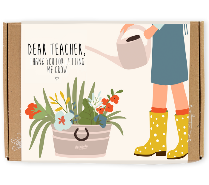 Wildflower Seed Ball Gift Box | Teacher Appreciation (7 Seed Balls)