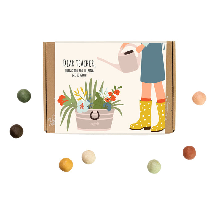 Wildflower Seed Ball Gift Box | Teacher Appreciation (7 Seed Balls)