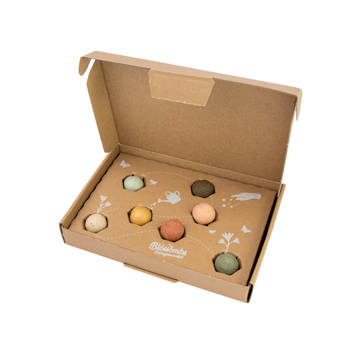 Wildflower Seed Ball Gift Box | Teacher Appreciation (7 Seed Balls)
