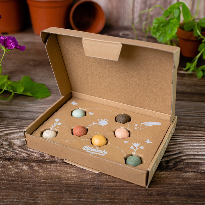 Wildflower Seed Ball Gift Box | Teacher Appreciation (7 Seed Balls)
