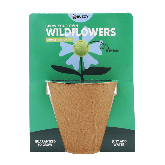 Wildflower Seed Ball Grow Kit | Green