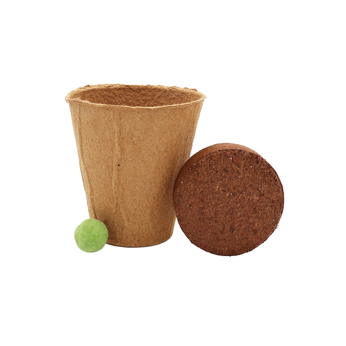 Wildflower Seed Ball Grow Kit | Green