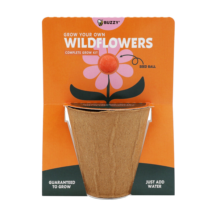 Wildflower Seed Ball Grow Kit | Orange