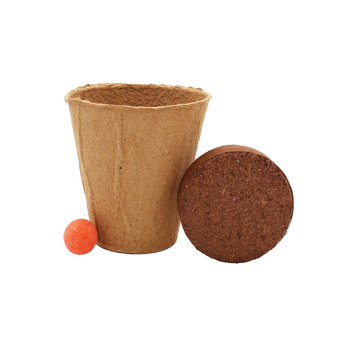 Wildflower Seed Ball Grow Kit | Orange