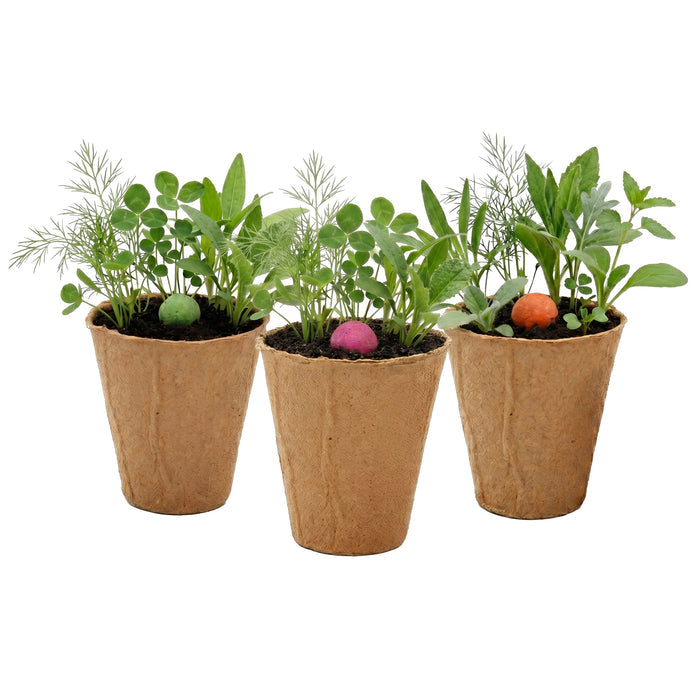 Wildflower Seed Ball Grow Kit | Pollinator Mix (6 Pack)