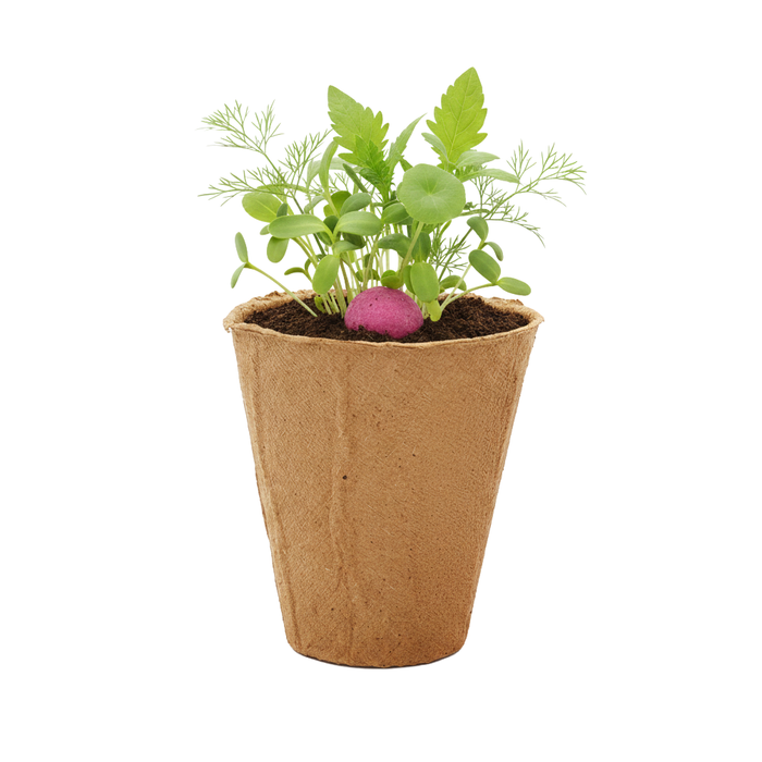 Wildflower Seed Ball Grow Kit | Purple