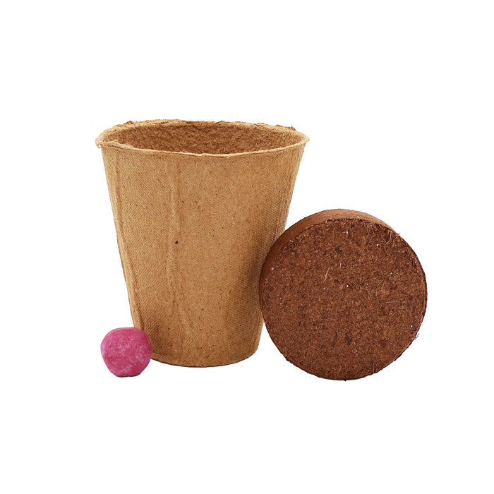 Wildflower Seed Ball Grow Kit | Purple