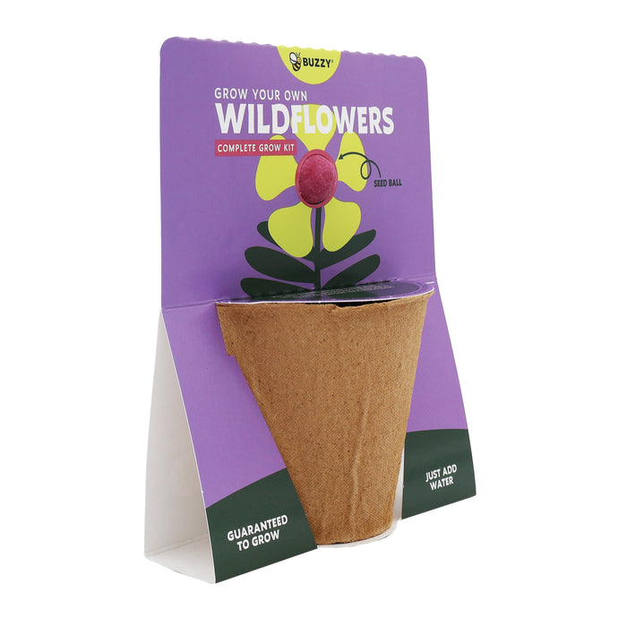 Wildflower Seed Ball Grow Kit | Purple