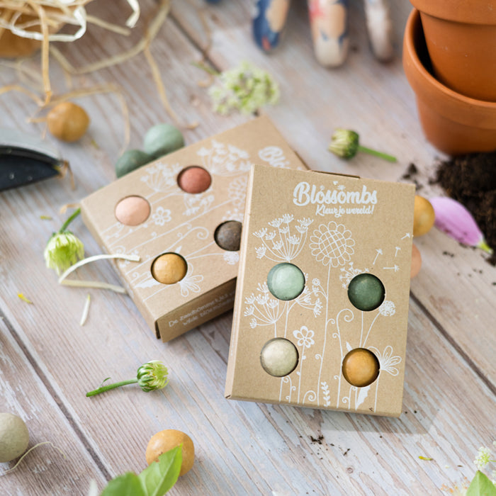 Wildflower Seed Ball Mini Gift Box | A Gift For You (4 Seed Balls)