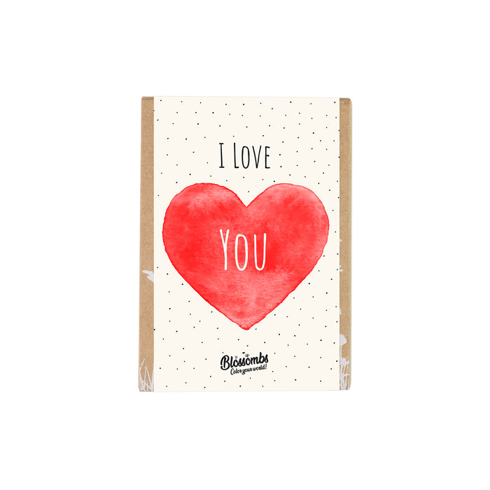 Wildflower Seed Ball Mini Gift box | I Love You (4 Seed Balls)