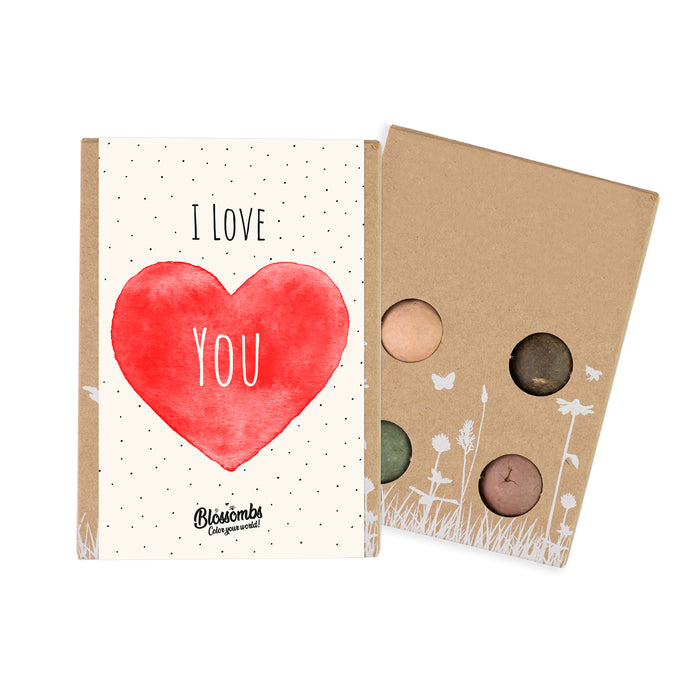 Wildflower Seed Ball Mini Gift box | I Love You (4 Seed Balls)